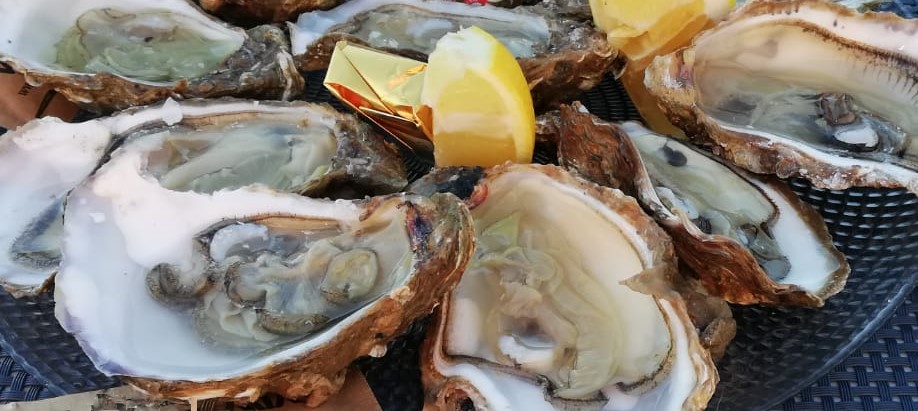 Austern auf einem Teller