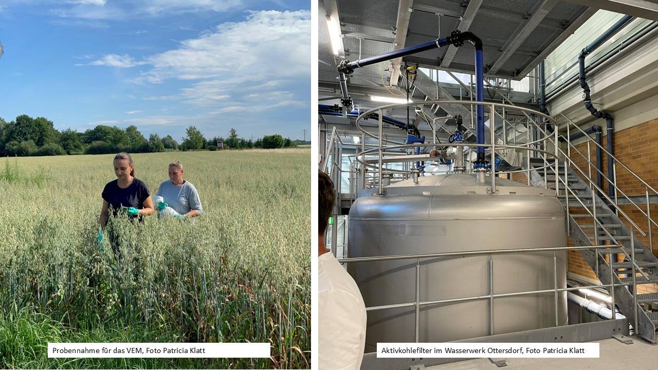 Getreidefeld und Wasserwerk nebeneinander, Foto Klatt