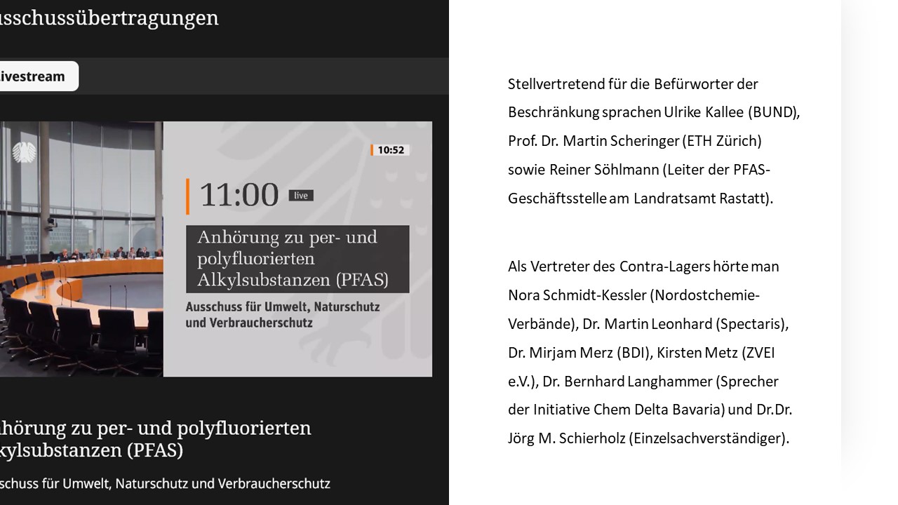 Bild Bundestag mit Text dazu